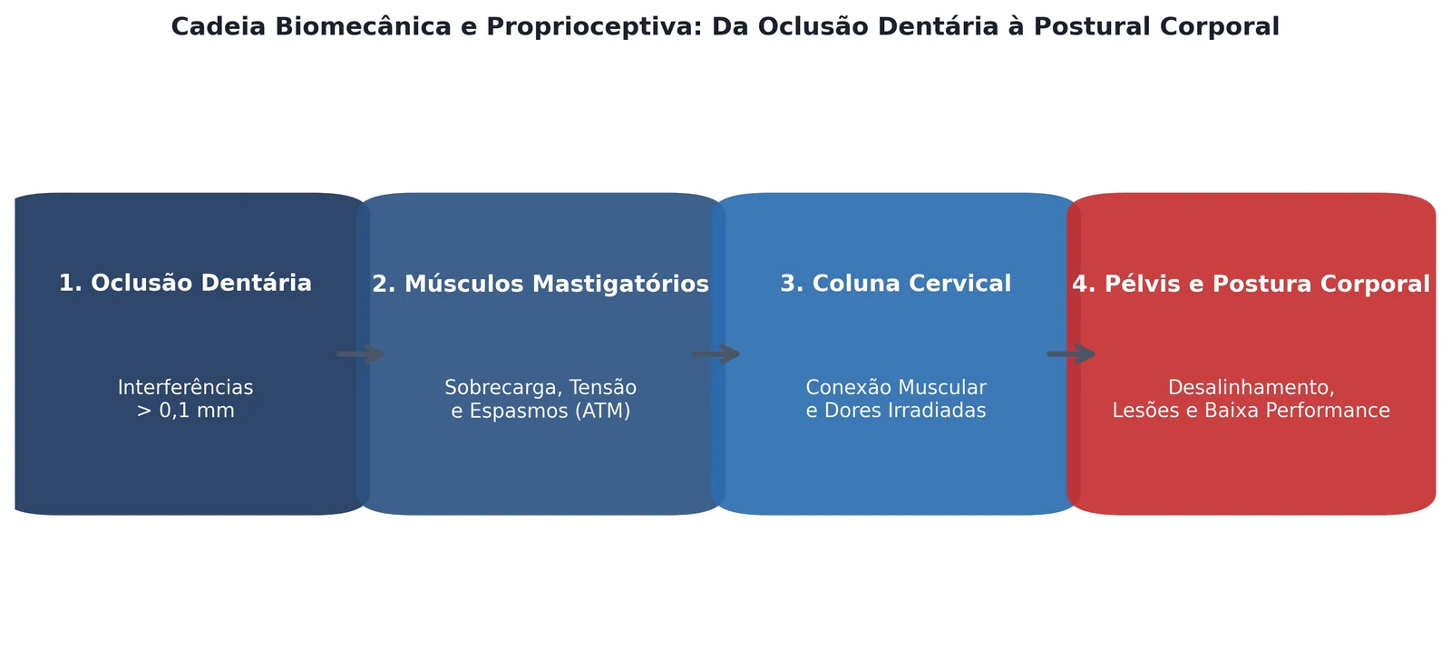 Figura 1 do artigo (ver a legenda abaixo)