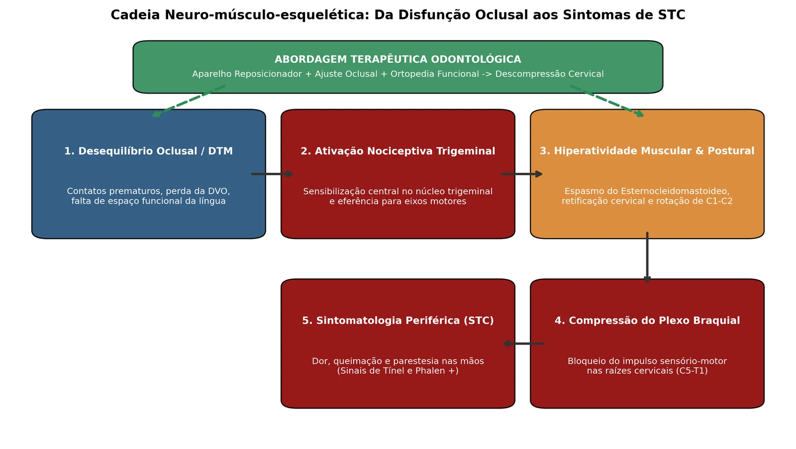 Figura 1 do artigo (ver a legenda abaixo)